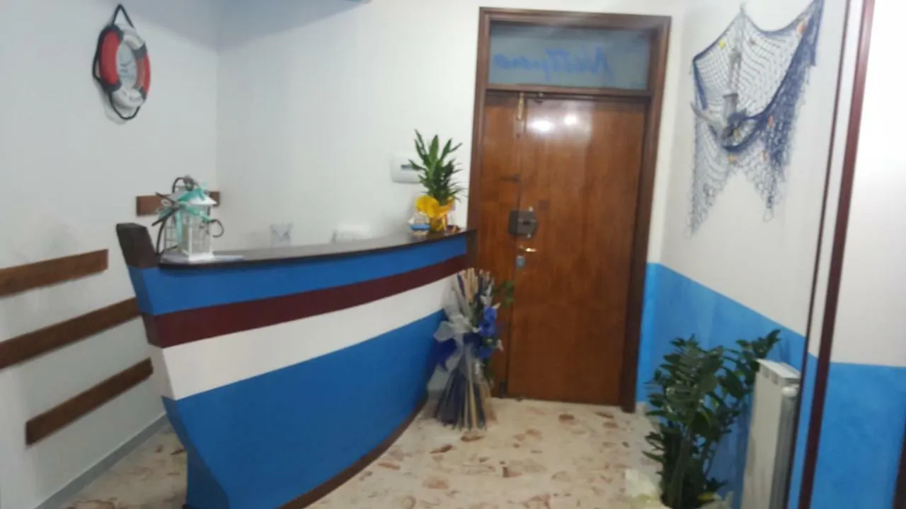 B&B Nettuno contacts